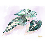 Quietly Teal