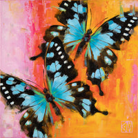PETITE ORIGINAL: Oil<br>Stresemanns Butterfly by Krystii Melaine, 12" x 12"