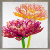 ORIGINAL: Oil<br>"Sunlight by Krystii Melaine, 30" x 30"