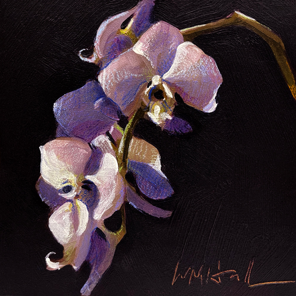PETITE ORIGINAL: Oil<br>"Nymph" by Whitney M Hall, 6" x 6"