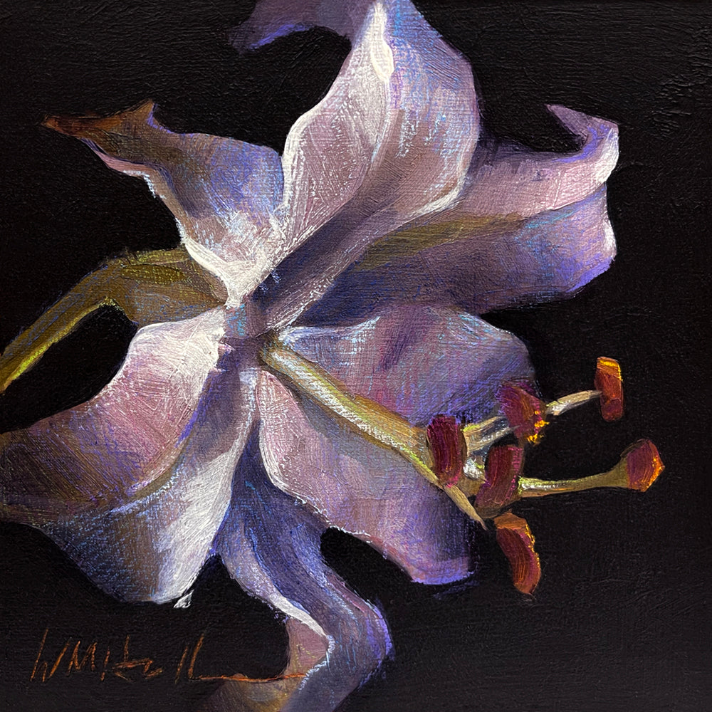 PETITE ORIGINAL: "White Star" by Whitney M Hall, 6" x 6"
